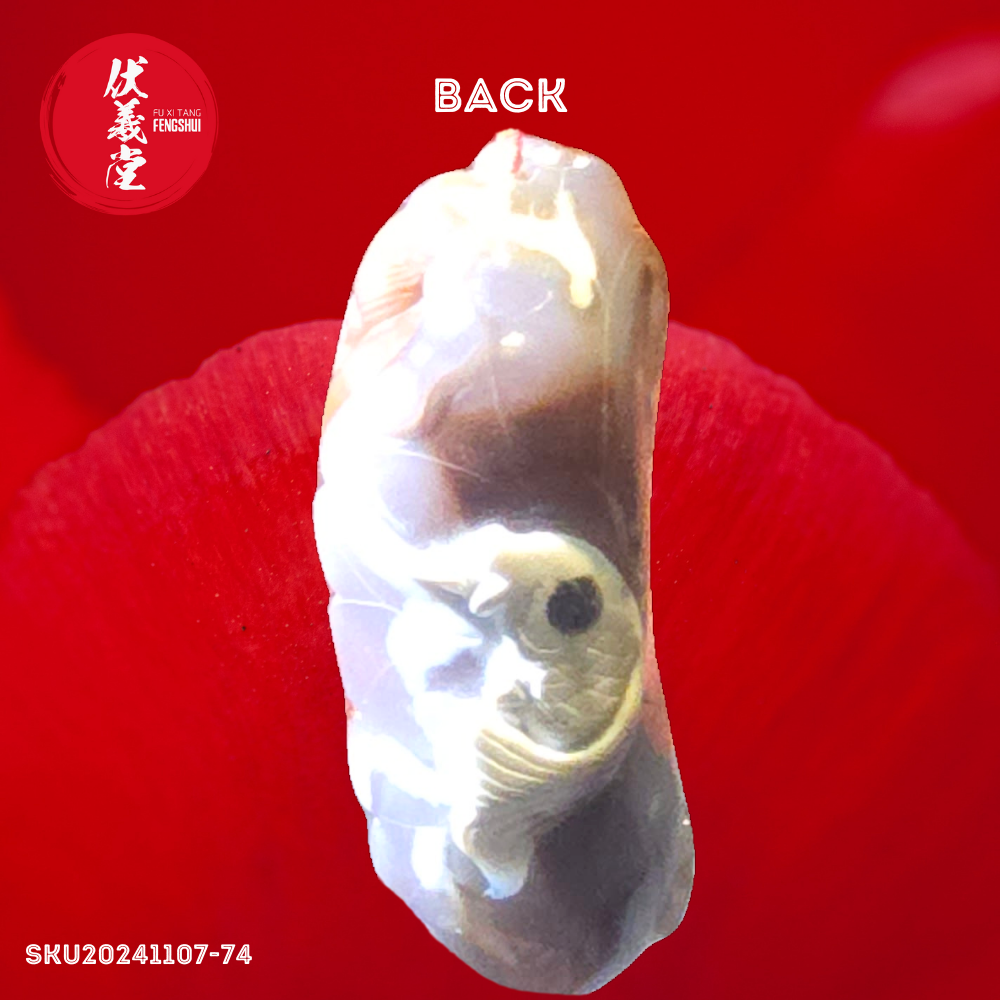 Fu Xi Tang Exquisite Jade Statue: God of Longevity