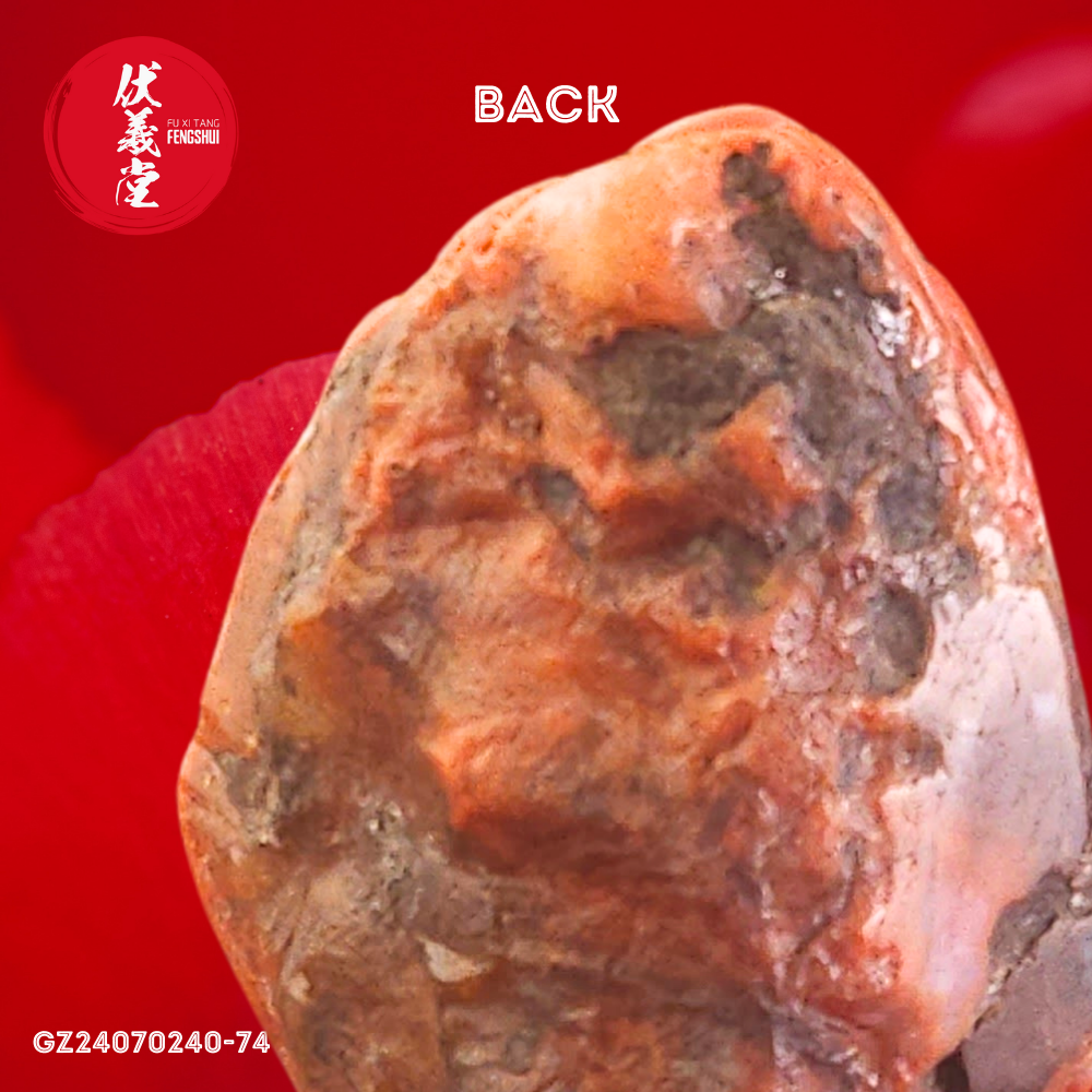 Fu Xi Tang Special Jade: South Red Agate